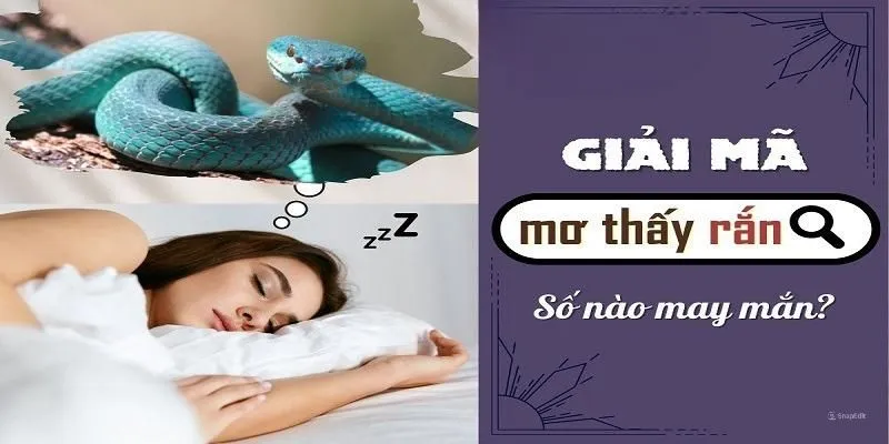 Nằm mơ thấy rắn soi cầu số nào ăn thưởng lớn