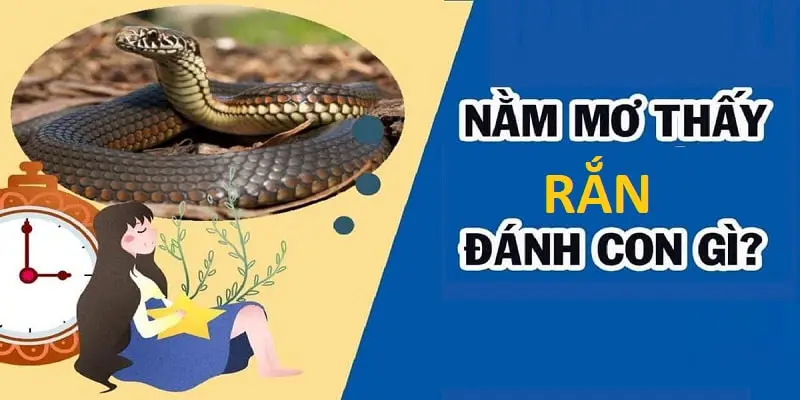 Nằm mơ thấy rắn đánh số gì?